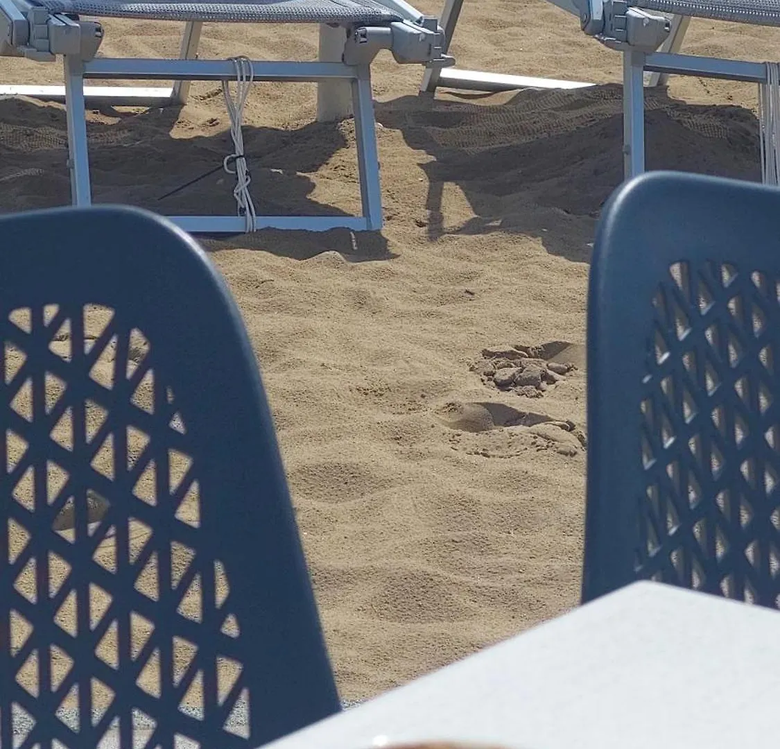 Albergo Ridente Lido di Jesolo Hotel